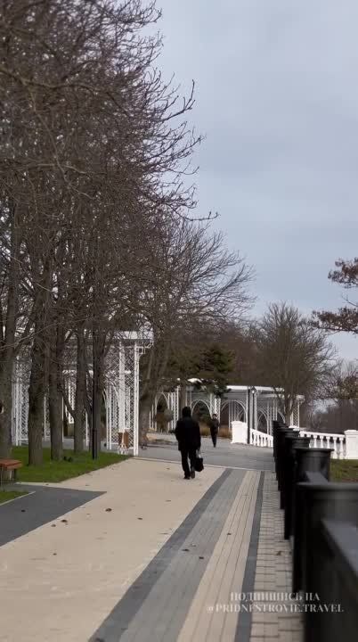 ���������� ������ �������. ������������� | ������