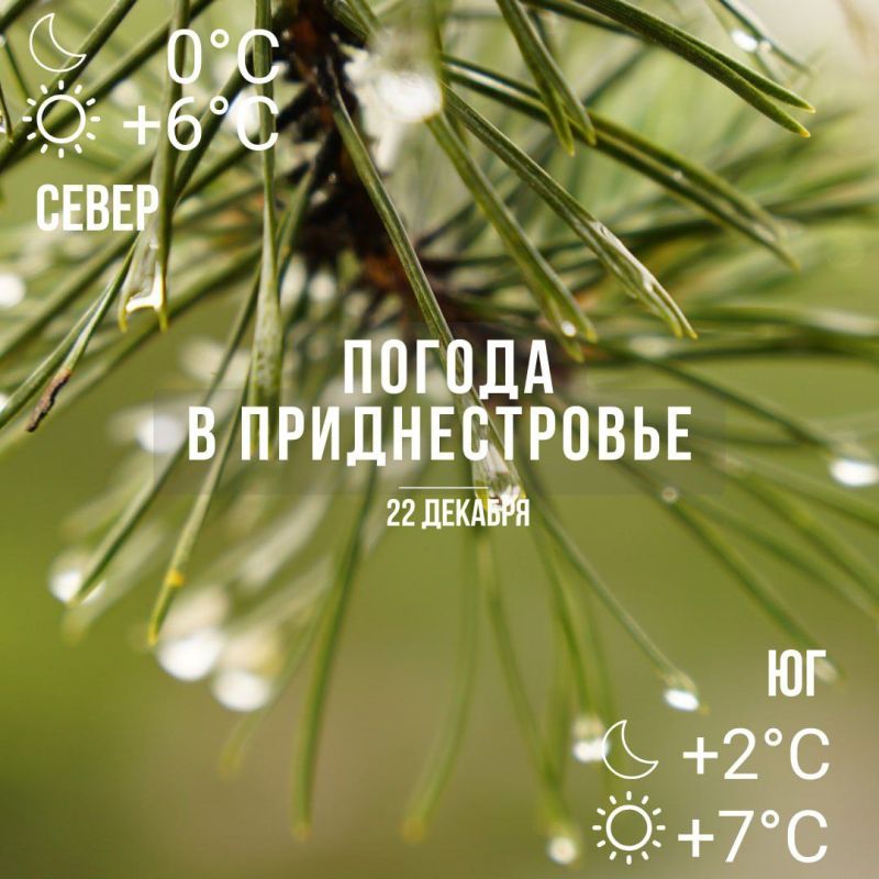 ������� �� ��� � ������ � ������� ��������������� �����