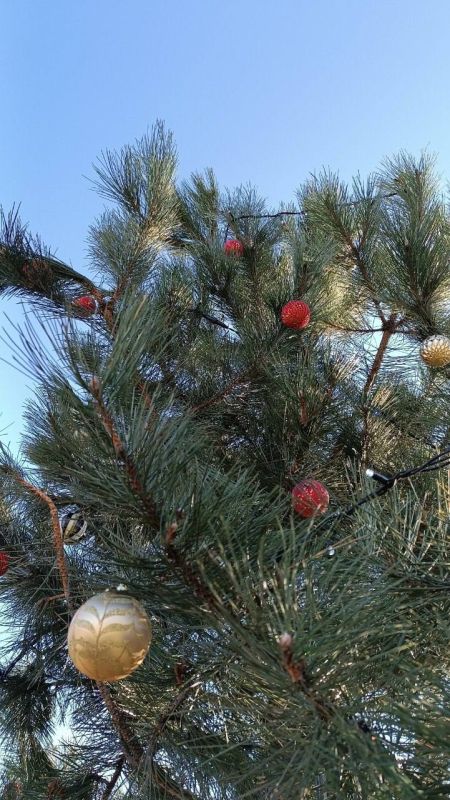 � ������� ��������� �������� ����� � �����