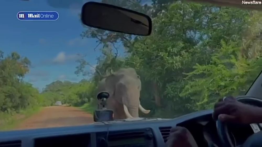 �� ���-����� ���� ��������� ������, ������ ���� � ����� ������� � �����, ����� ������� ����� � �������� ��� � ��������