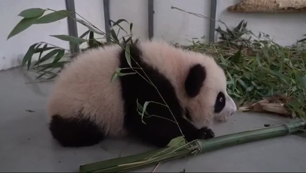 ��������� ����� �� ����������� �������� ������� ������ ����