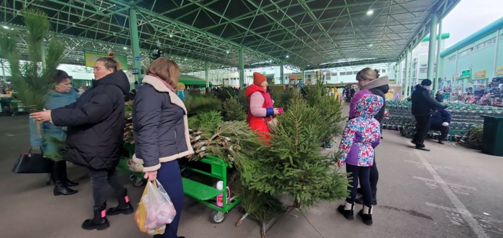 ������� ����� ���� � ����. ���� ��������� ����� ��� �����, ������ ��� ��������