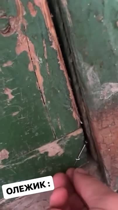 ������ ����� ����������� ���� ��������� �� ������������ ��� ���������