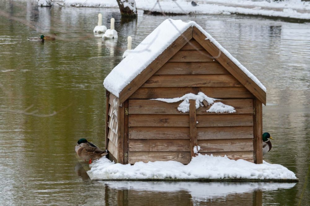 ����� �� �������� ����� ������ �������� ��������� �����; ������ ���� ����� � ������� � ����� �������, � �������� � ���������������� ��������