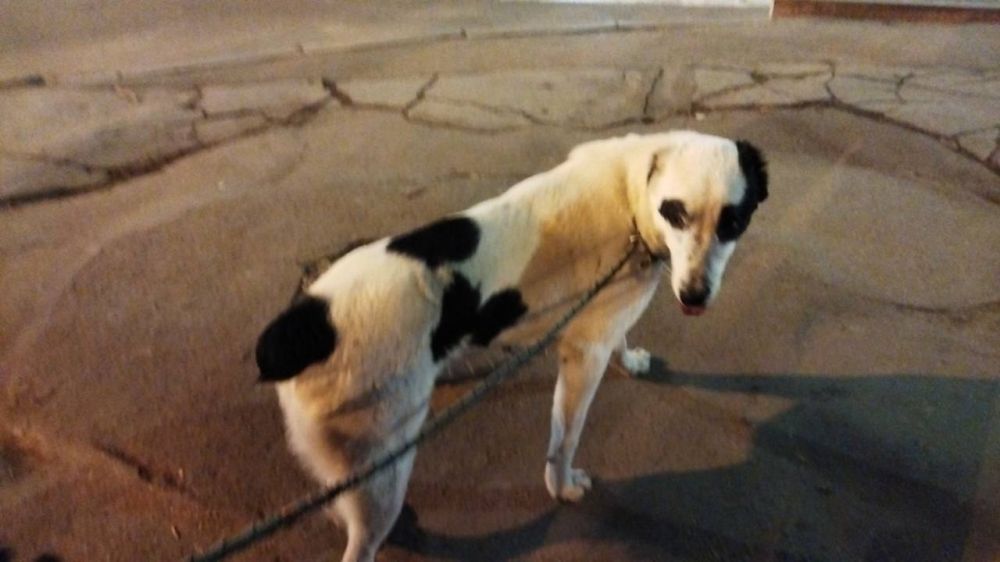 � ��������� ����� ������ ������ ������