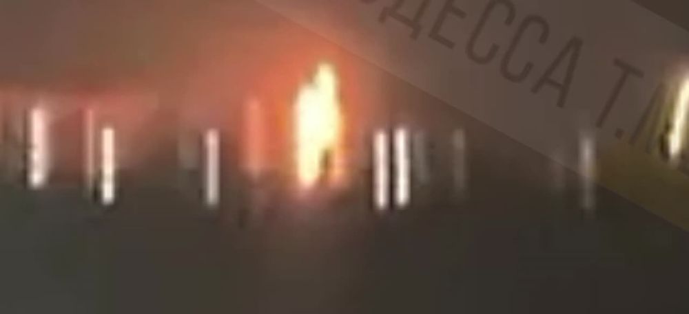 ������. ����� �������� �� ���������� ���� ������ ���� �����