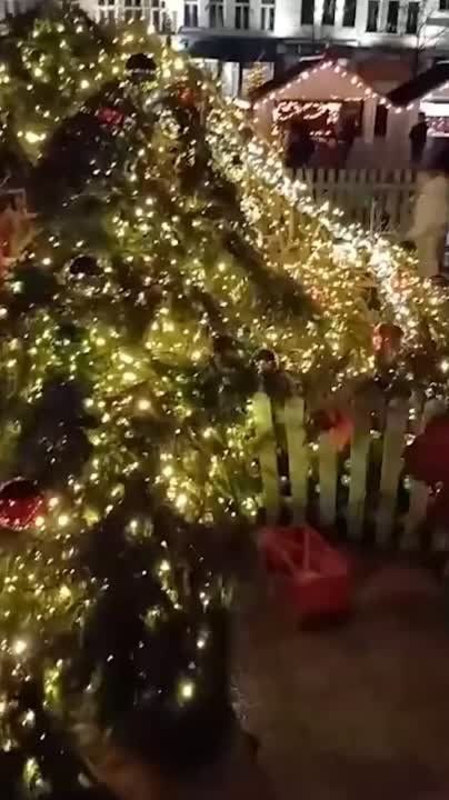 ����������� ����. � ������� �� �������� ����� ����� ���������������� ���������� ��� � ��������� ������� ��������. ��� ���� ����������