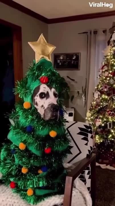 ����� ����� ������� ������� � ���� � ������ � ���� �� ���� ��������, �� ����� ��� ���� ���������� ����������) ����������!