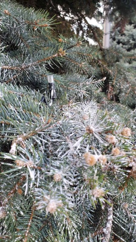 ������� ������� ��������� ������