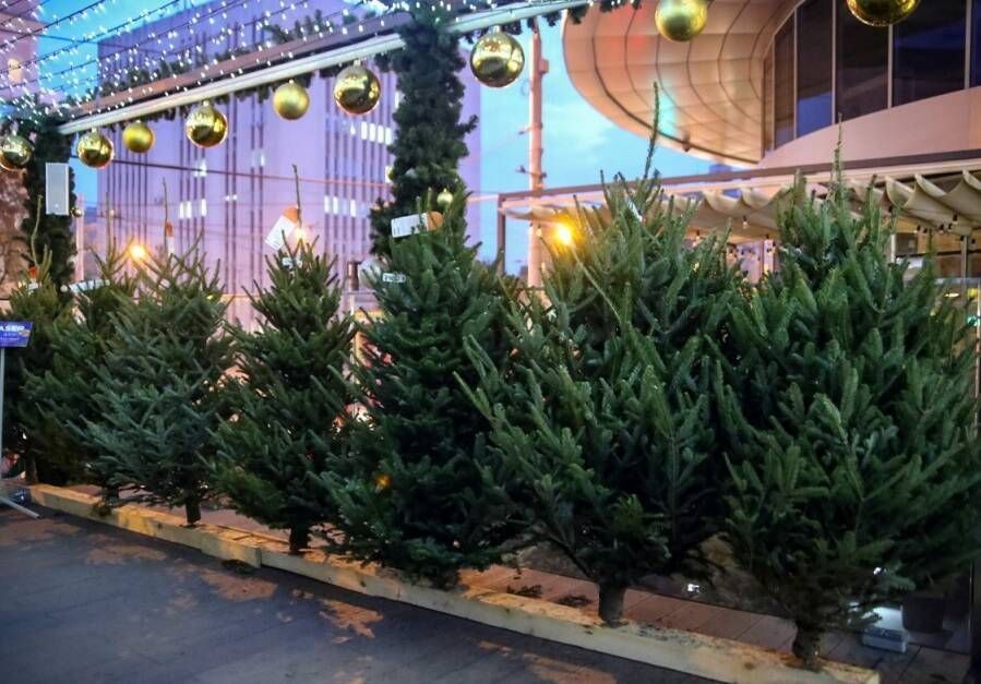 � ��������� ������ ���������� ������� ����� � ����