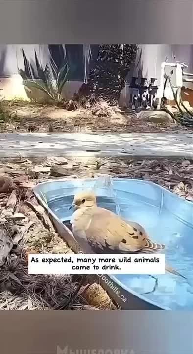 ���� ��� ����� ����� �� ���������� ����������, ��� ������ �������� ���� �� ������� � �� ����, ������� ���������� ������, ���� ������, ��� ������ �������� �� �������