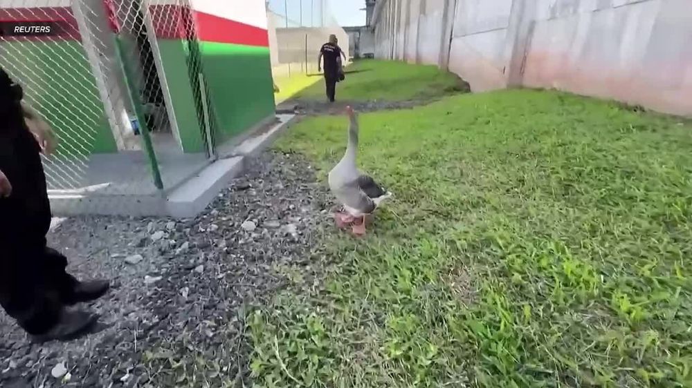 ������� �������� ��������� ��������������� ��������� ������ �������