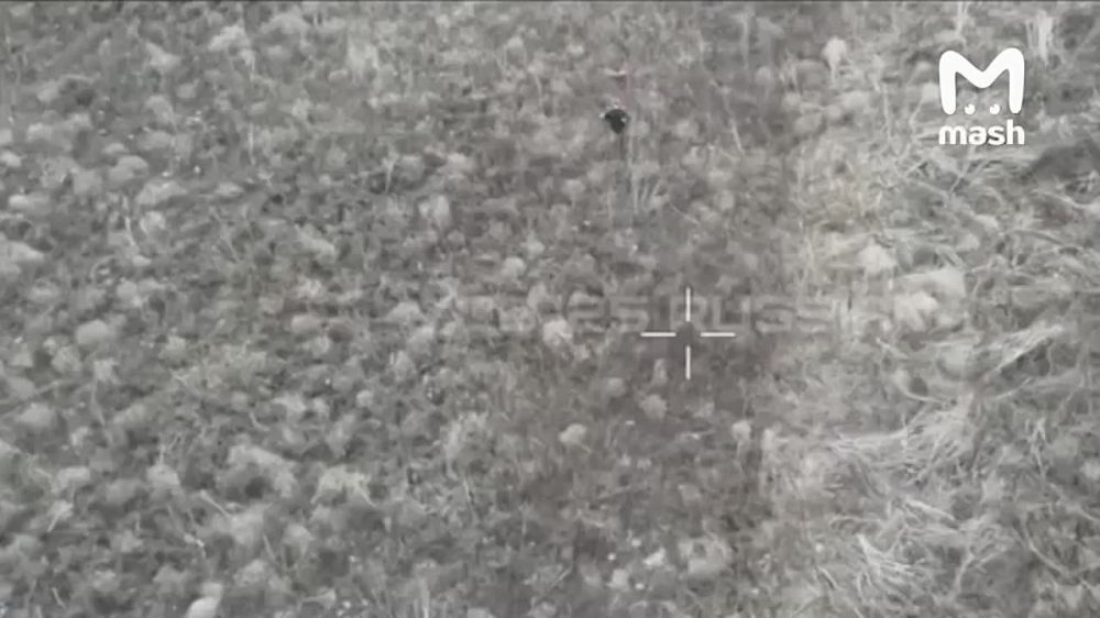 ��������� �� ���� ���. �������������� �� �� ����� � ���� ������ ���, � ����� �� ����� �� ������� �����, ��������� �� � ������������� ���� ������