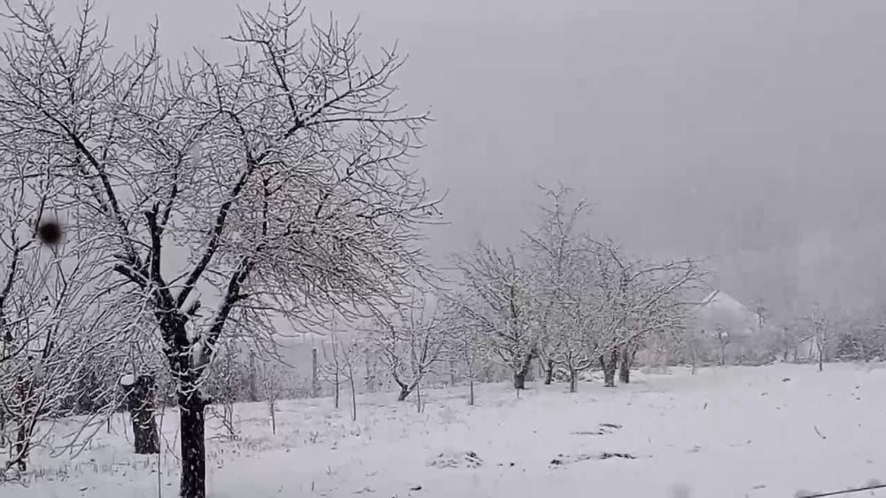 � ���� ���... � ������� (��������� �����)