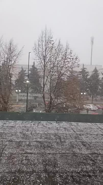 ������� ���� � �������� ���������� �� 10 �����