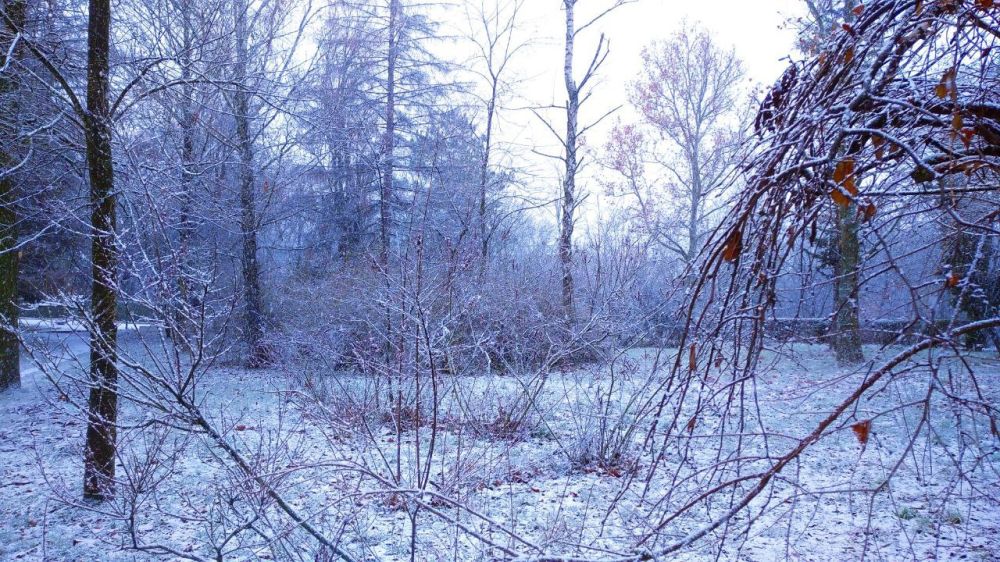 ��� ������� ������� �������