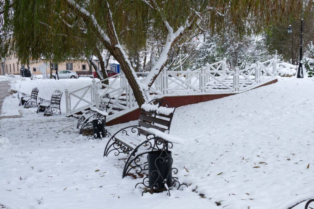 ������ ������� �������: ��������, ����� ������ � ���� �����