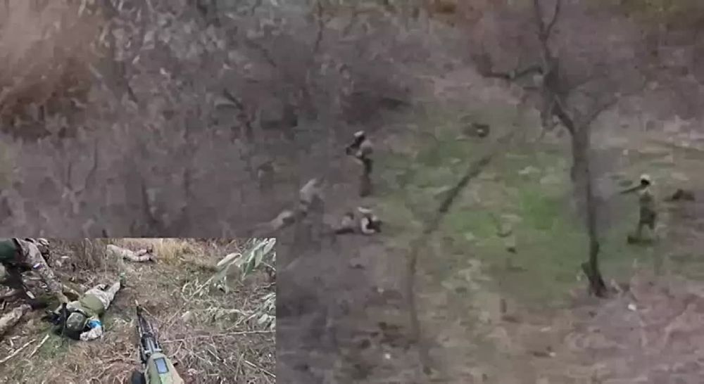 � ������ ������ ������� ����������� �������� ����������� ����� � ��������� ���, ����� ���� �� ��������� ���� �����