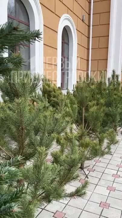 � ������� ������� ����� (�� 200 �.) � ����� (�� 800 �.)