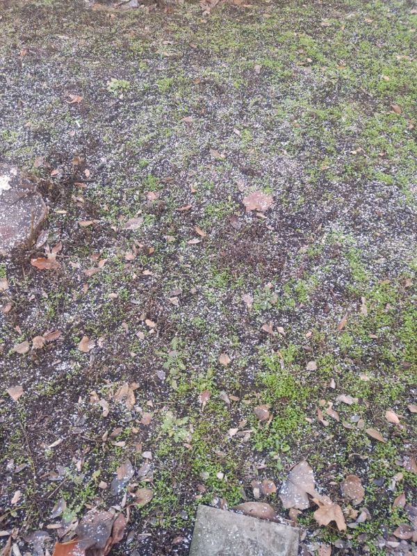 ���� � ��������� � ���������� ����