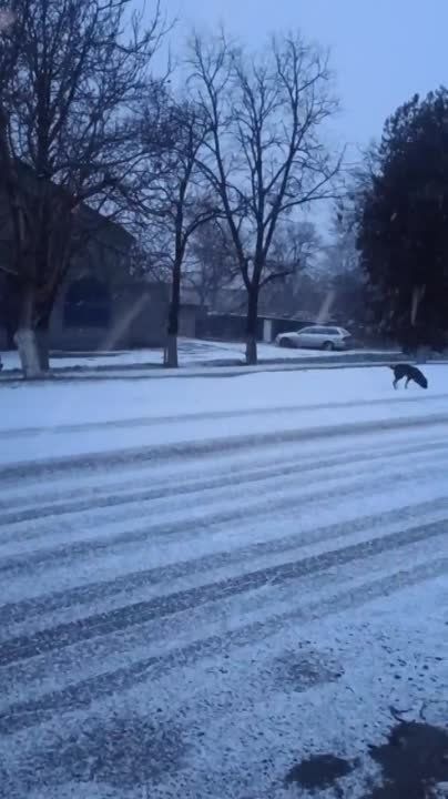 ����� � ����, � ���� � �����