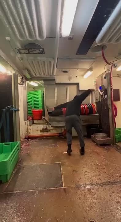 ������� ���� �������� �� ������� � �������� ����