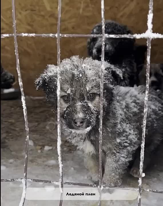 ������� ����. ������ ������� ������� ����� ��� ��������� �������� ������� �����