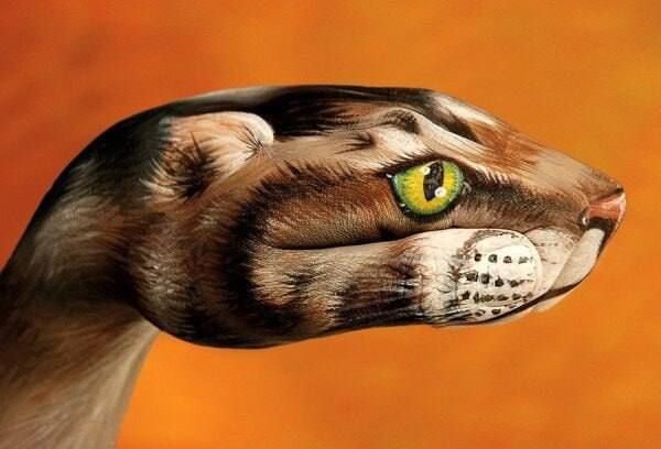 ��������� �� �����. ���� ����, ��� ����, ��� ���� ���, ������� �����������, ���������� ��������� � � � ���������� �� ����...