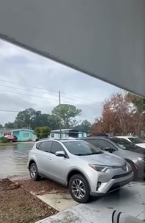 �� ������� ������ ����-����������� ����� ����������� ����������� �������: �� ����� ����� �� �������� ���� �� ���� ��������� ������� ������