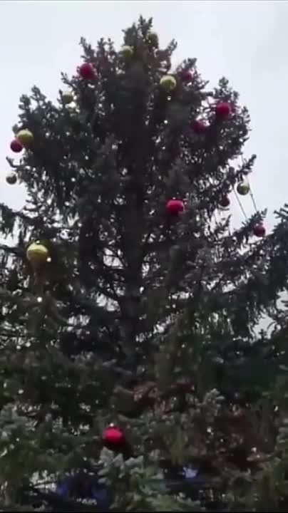 ��������� � ��������.