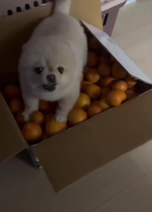 ��� �� ����� ���, �� �����!