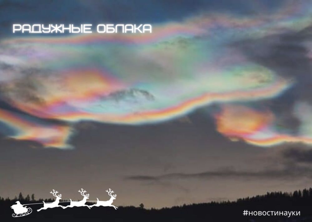 ��������� �������� ������ �������� � ���� ��� ��������