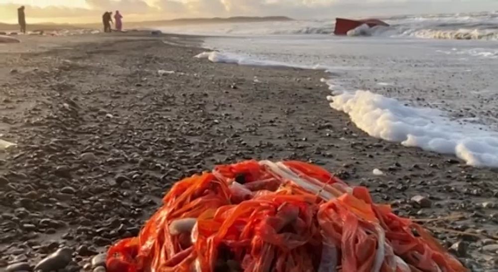 ���� � ����� ������� ���������