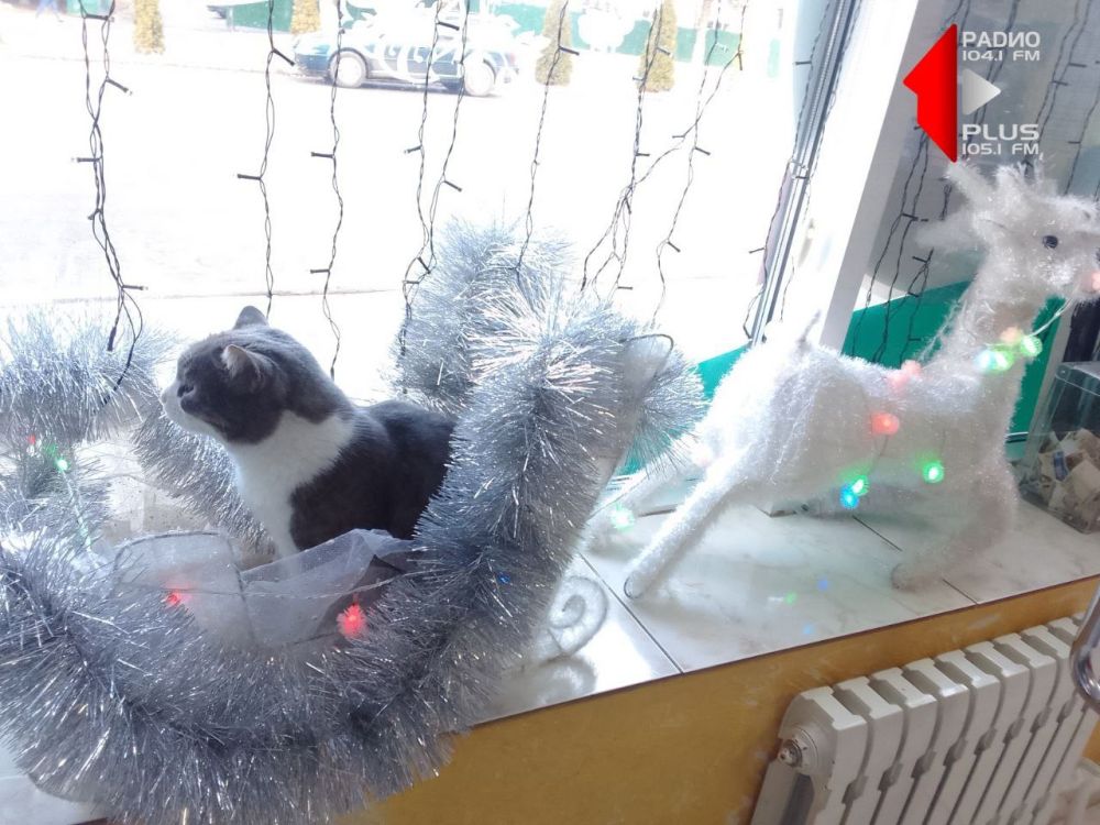 � ����� �� ���������� �������