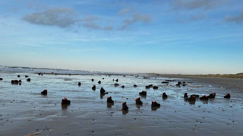 ������ ������� ���������� �� ������ � �����