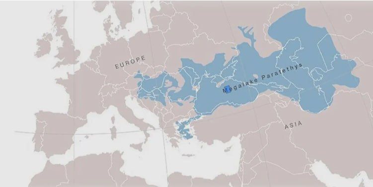 �� ���� �� ����� ������ �������� ����� � �������