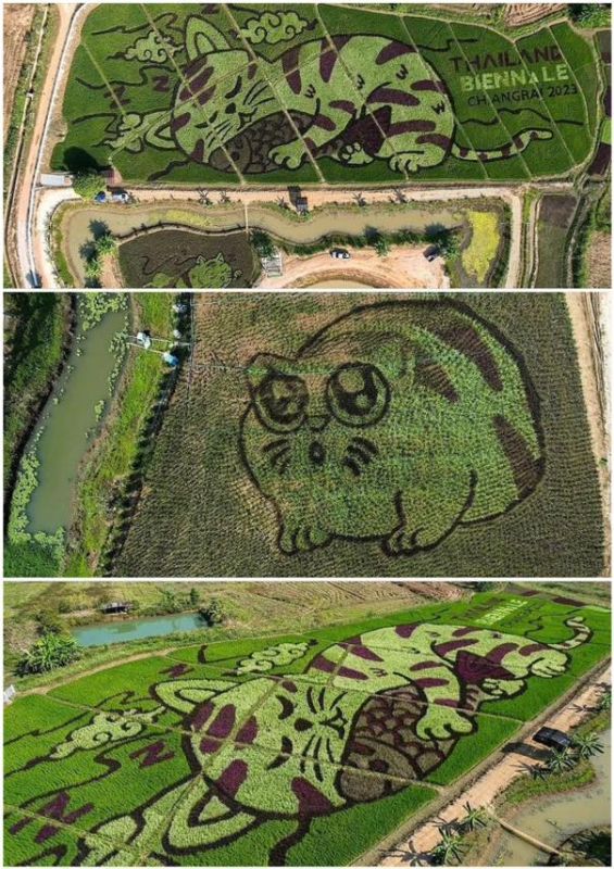 ������ � �������� ���������� �������� � ������� �������, ������������ �� ������� �����