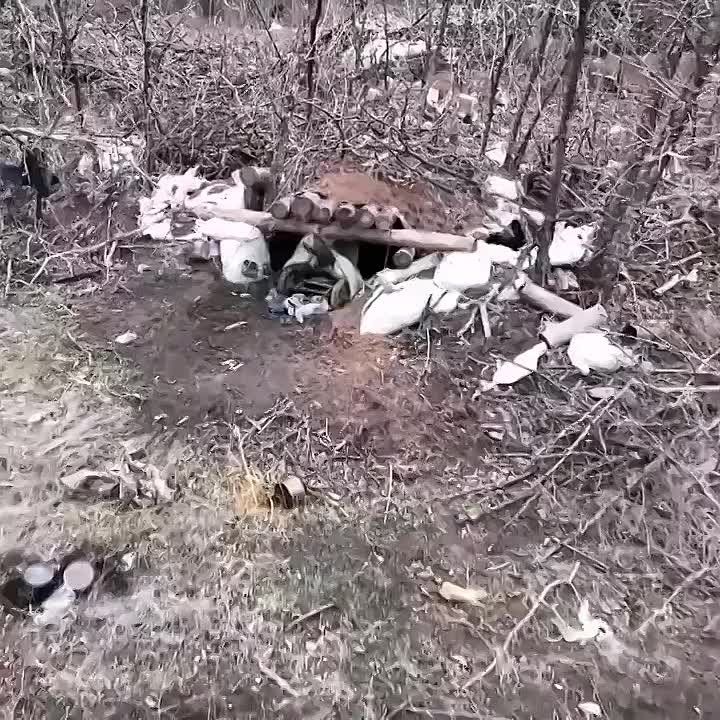 ������� ��� ��������� � ������� ������