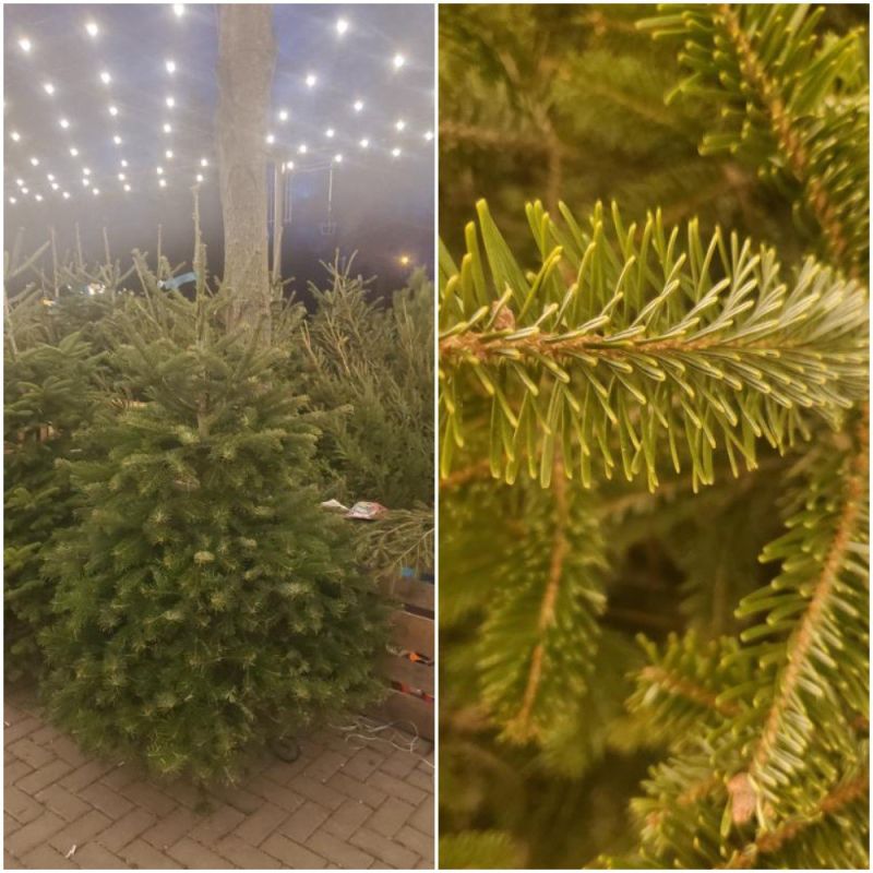 ������������� ��������� ���� �� 800 ������