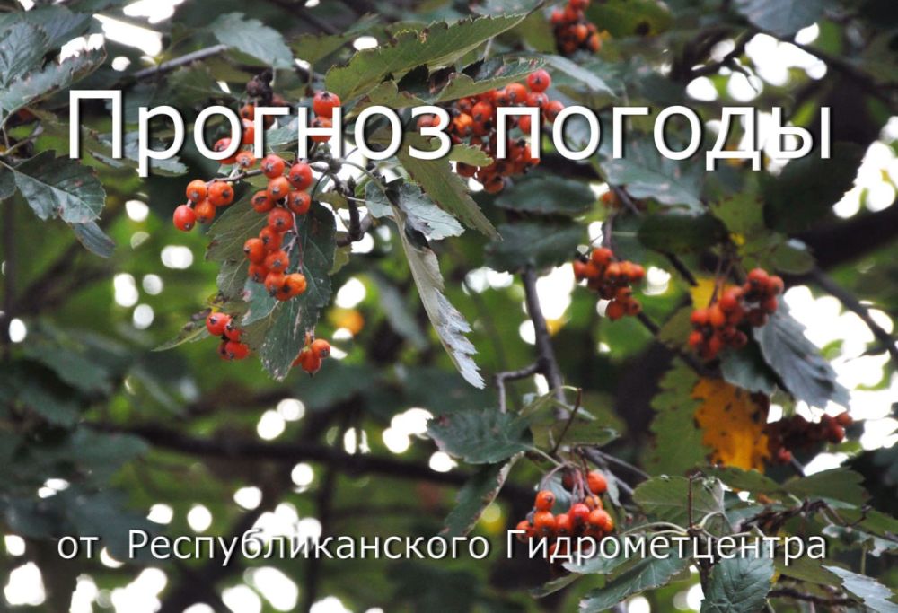 ������� ������. �������, 26 �������, ��������� ���������� ����������, ���� ��� �������