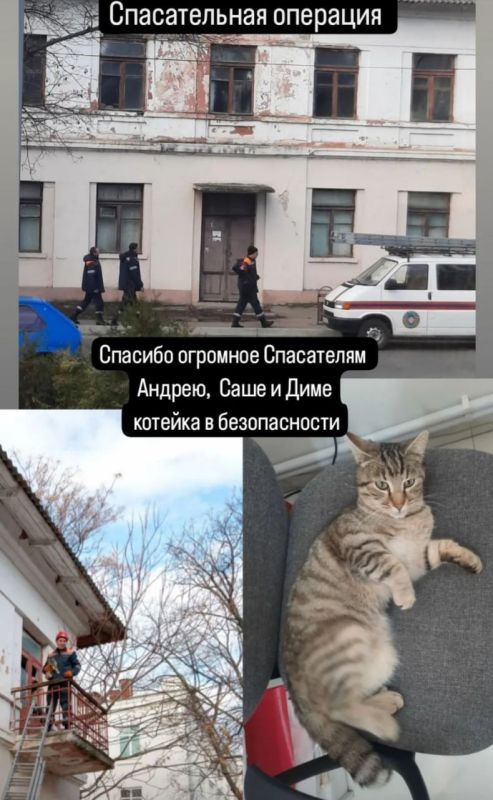 ����� ������ �������. ����� �������� �������� ������������� �� �������� ������� ������ �� ������������ ������ ������...