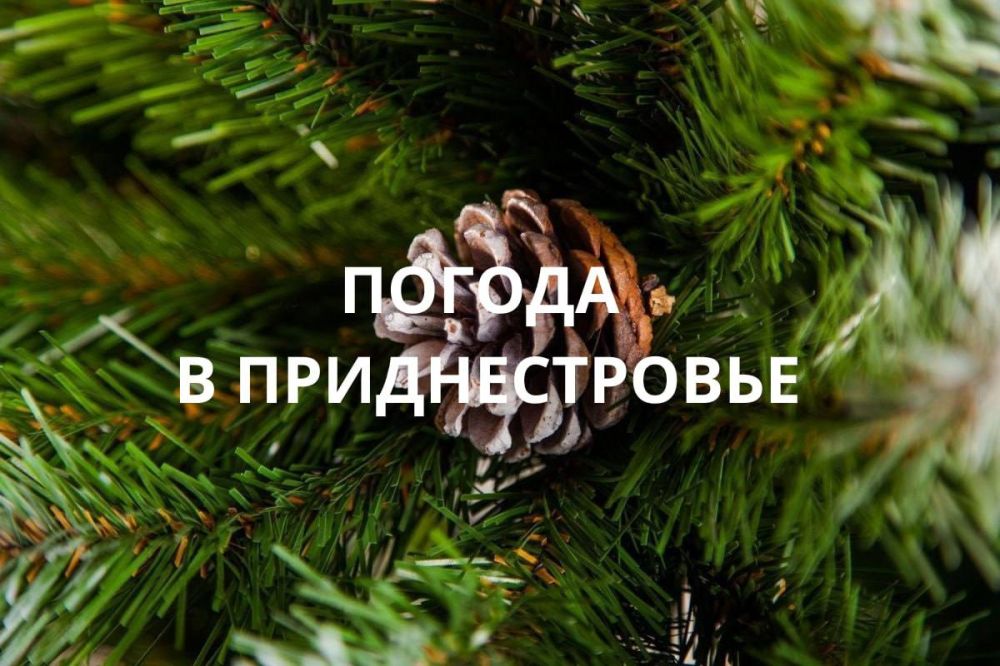 27 ������� ��������� ���������� ����������, ��� ������������ �������