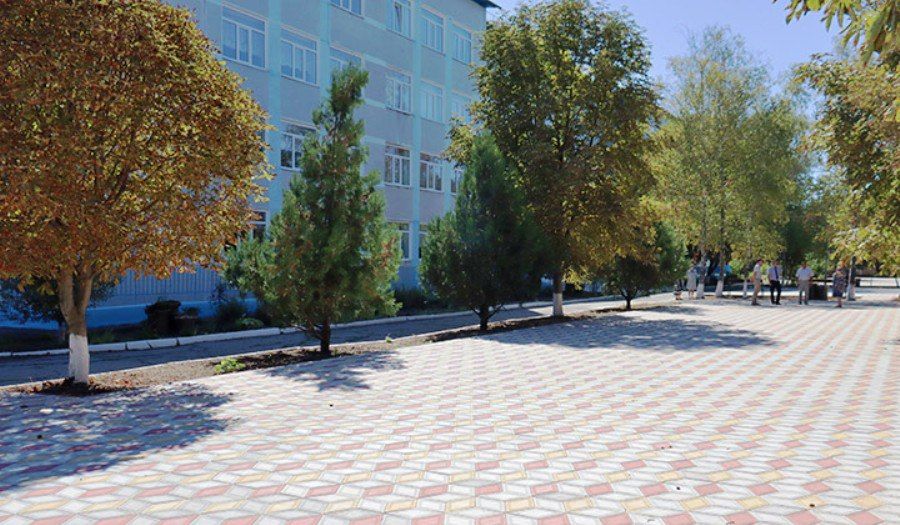 ����������������� � �������� ���������� ��������������� �����