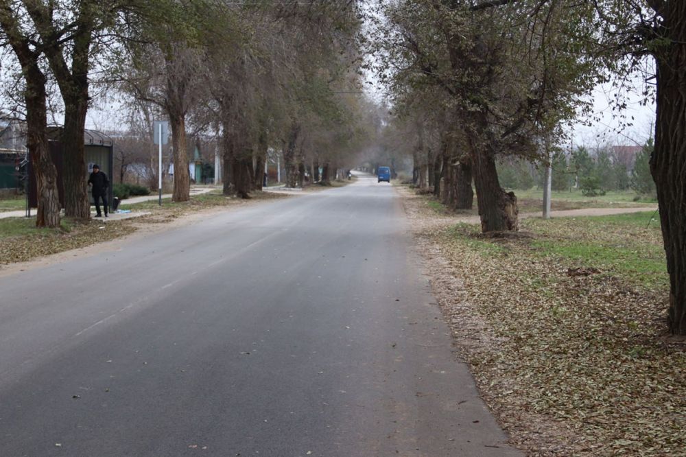 � ���������� � ���� ���� ��������������� 12 �������� ���������