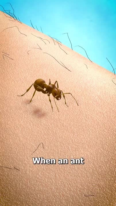 ��� ������ ����� �������� ��� �����