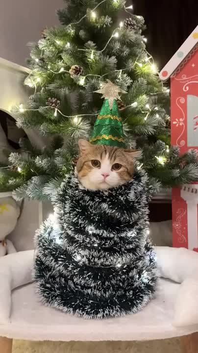 ����� ����� ���������� ������