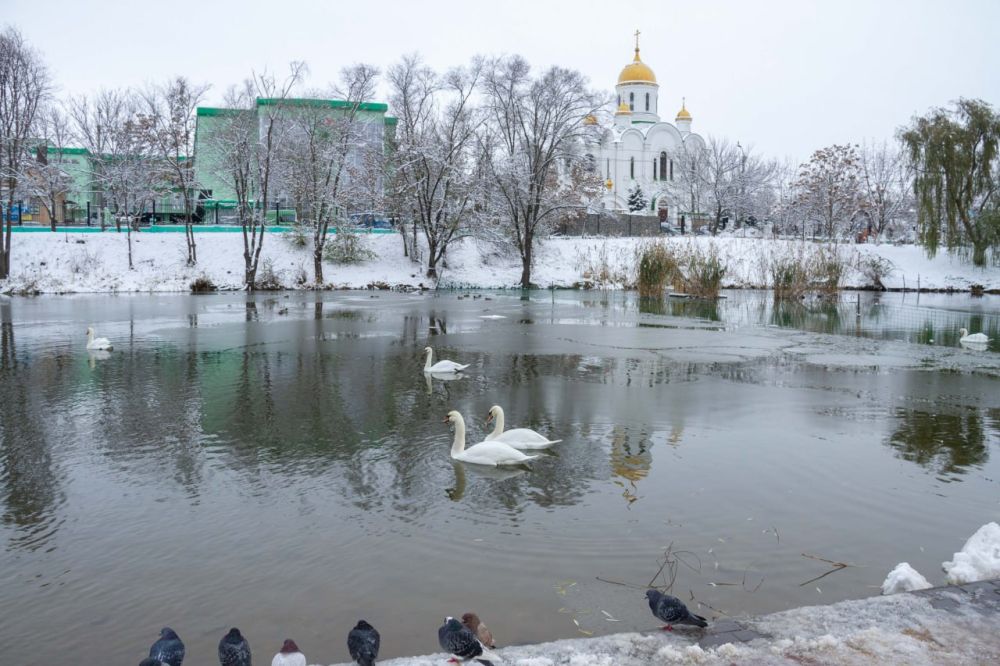 ���� � ��� ������: ��� ��������� ���� � ������������� ����