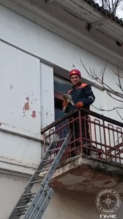 ������ ����. ������� �������� �� ����� ������������ ������������ ���� ��� ���, �������������� ��������� �� ����. �� ������ ������� ���������