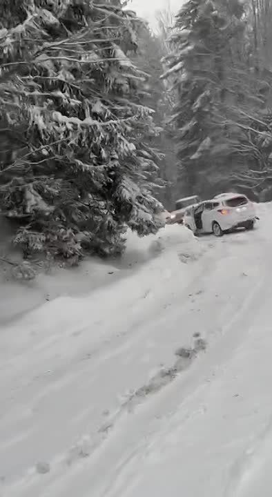 �������� ����������, �� �� ����������