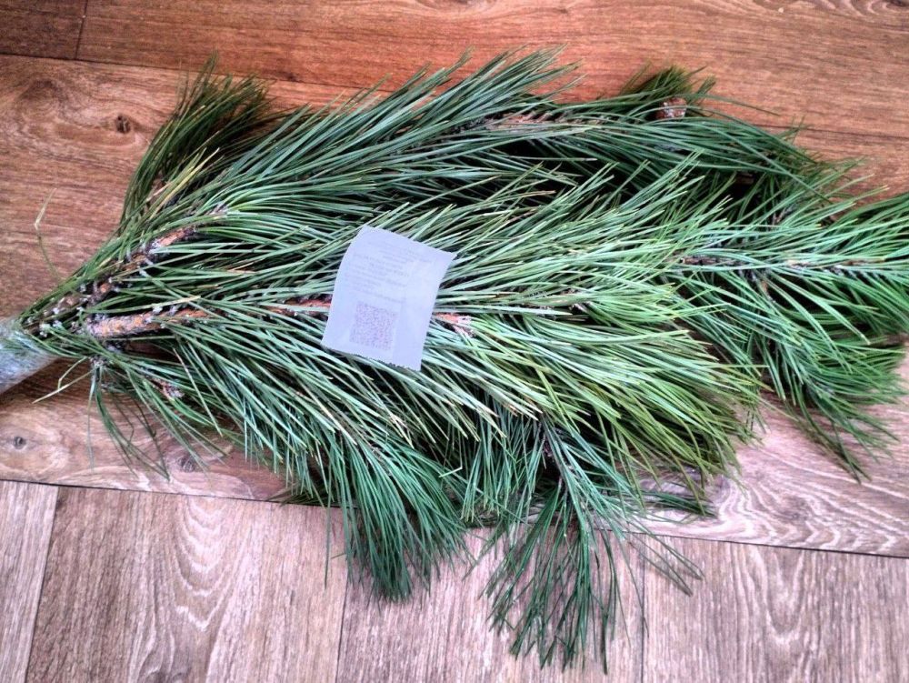 ���� ����� ��������� �������� �������, � �� ����, ��� ����� ���� ���